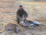 Whitetail Deer (low-fence)